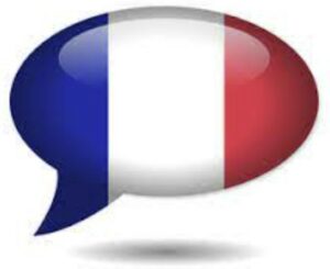 Formation français – préparation au DCL (diplôme de compétence en langue)