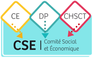 Formation CSE entreprises de plus de 300 salariés