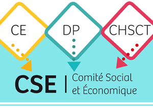 Formation CSE plus de 300 salariés