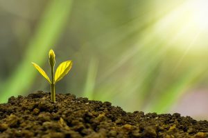 Formation finance durable