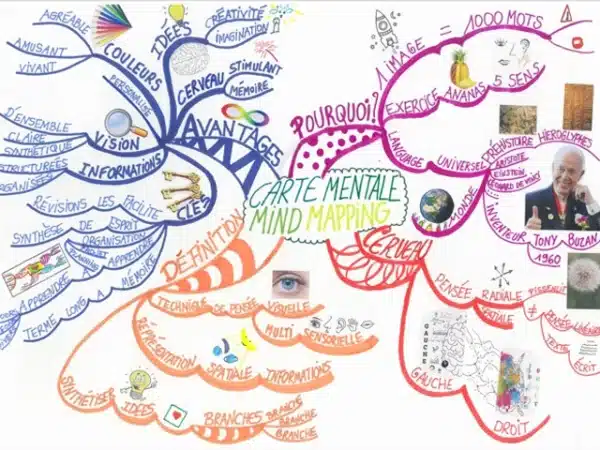 Formation Mind Mapping : Maîtrisez l&rsquo;Art de la Cartographie Mentale pour une Efficacité Professionnelle