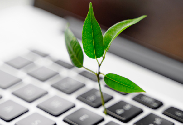 Formation de sensibilisation au numérique écoresponsable : Réduire l'empreinte environnementale du digital