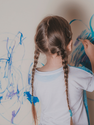 formation troubles du spectre de l’autisme TSA à l’école comprendre, accueillir, adapter formation troubles du spectre de l’autisme TSA à l’école comprendre, accueillir, adapter