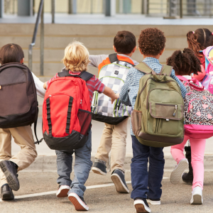 Formation prévention et détection des violences en milieu scolaire