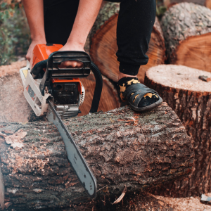 Formation tronçonneuse CIDFP – utiliser une tronçonneuse en sécurité